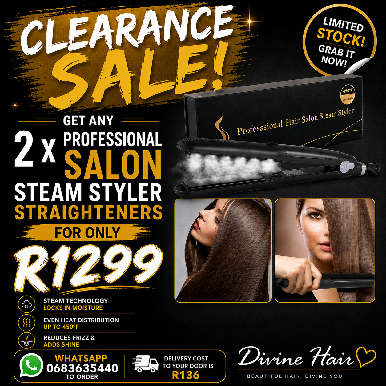 Pay day sale 2 x Professional salon steam styler straighteners