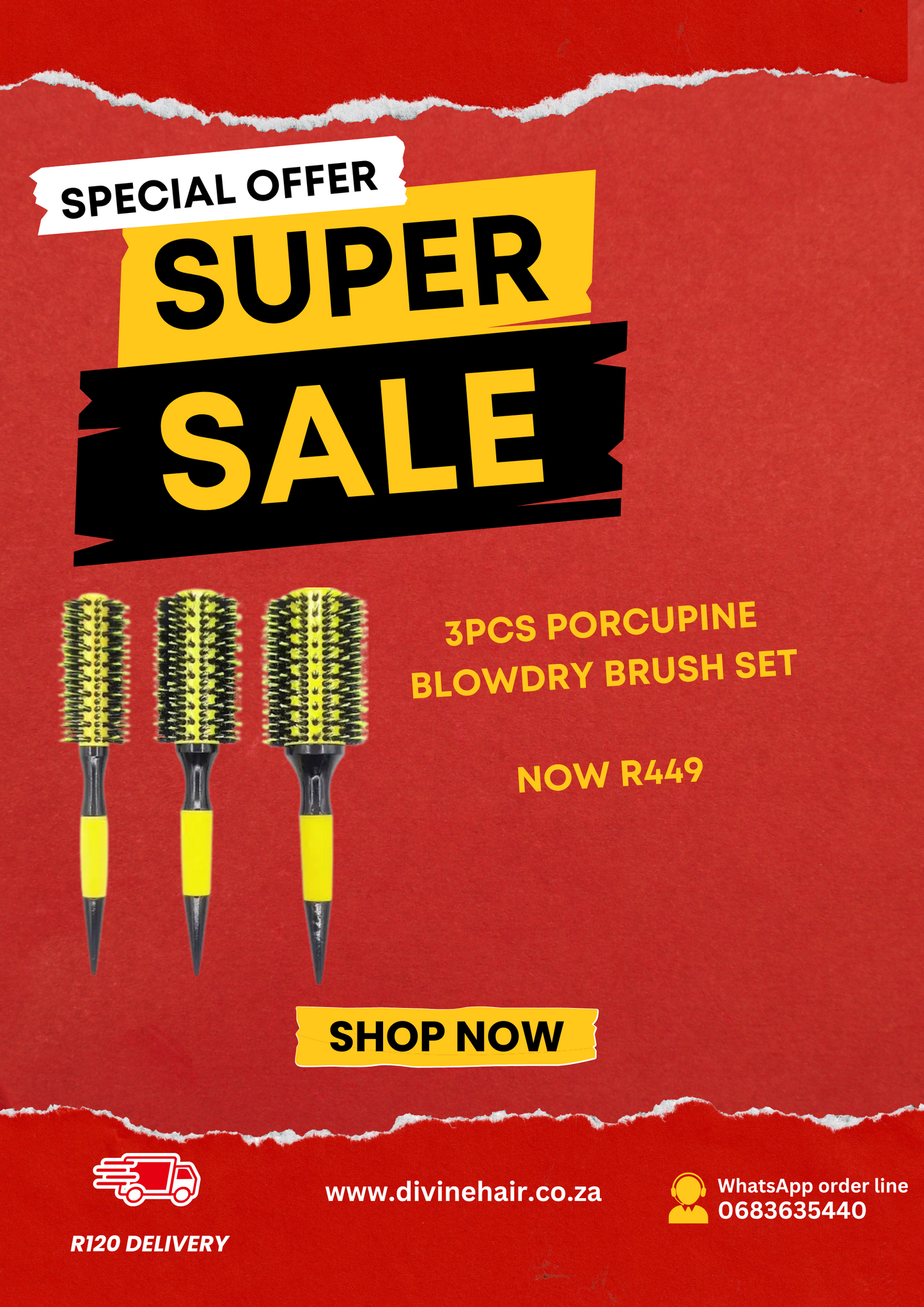 3pcs porcupine blowdry brush set