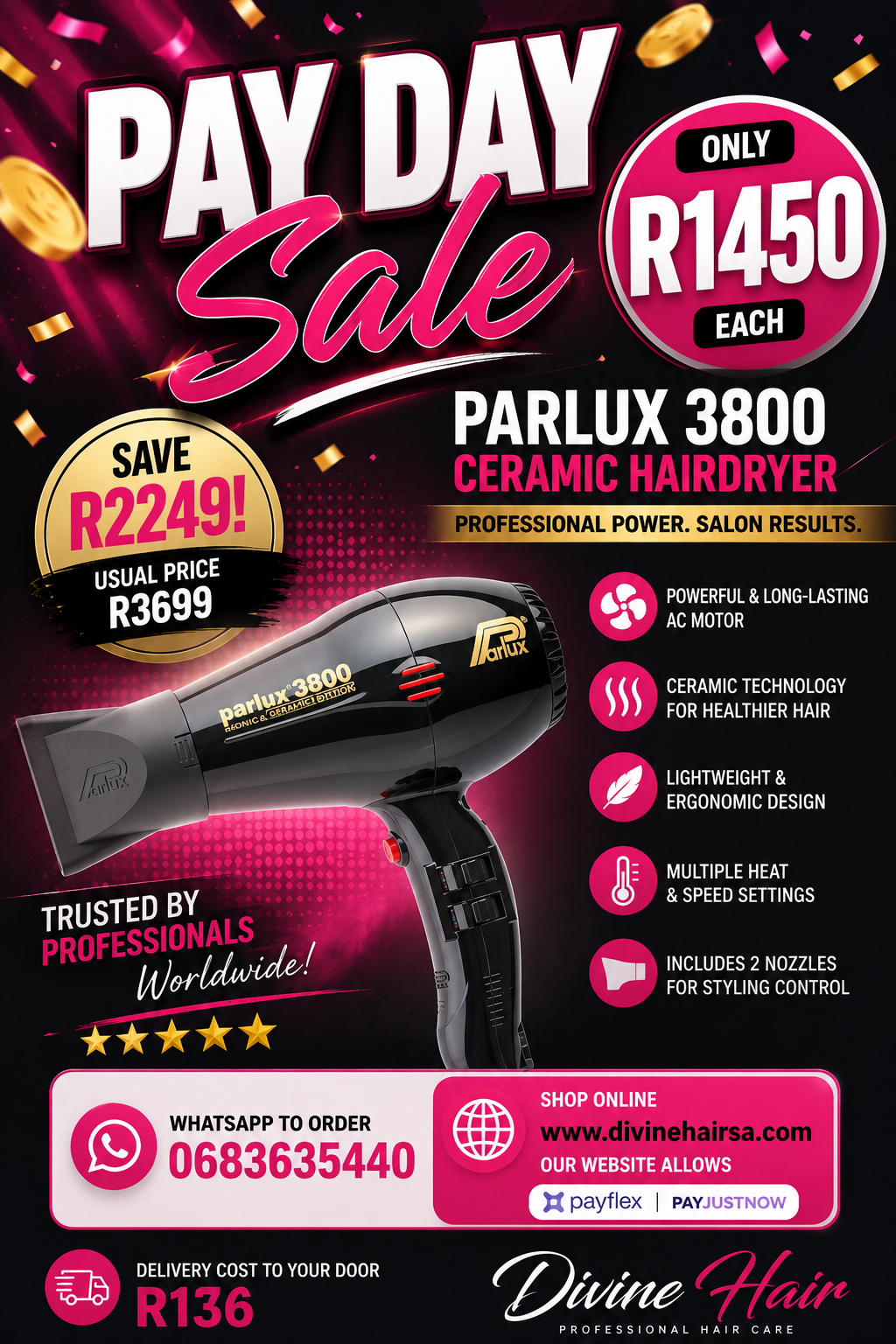 Pay day sale Parlux 3800 ceramic hairdryer